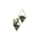 Wall Planters | color: Black-Brass