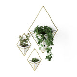 Wall Planters | color: White-Brass