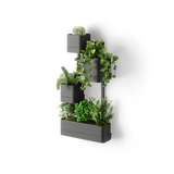 Wall Planters | color: Black