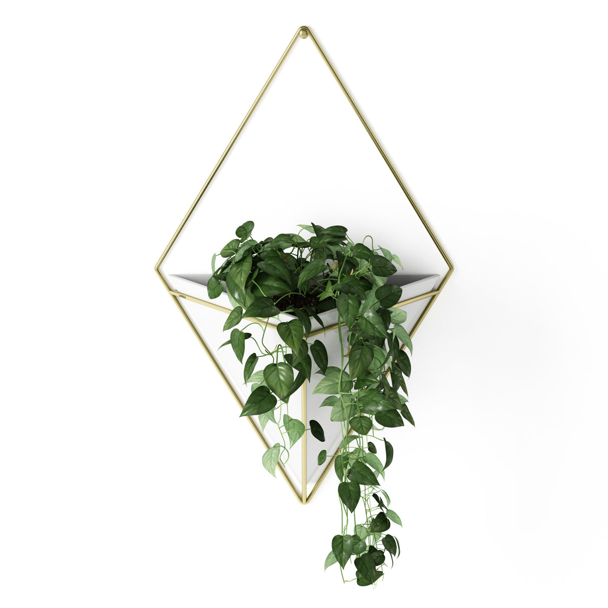 Wall Planters | color: White-Brass