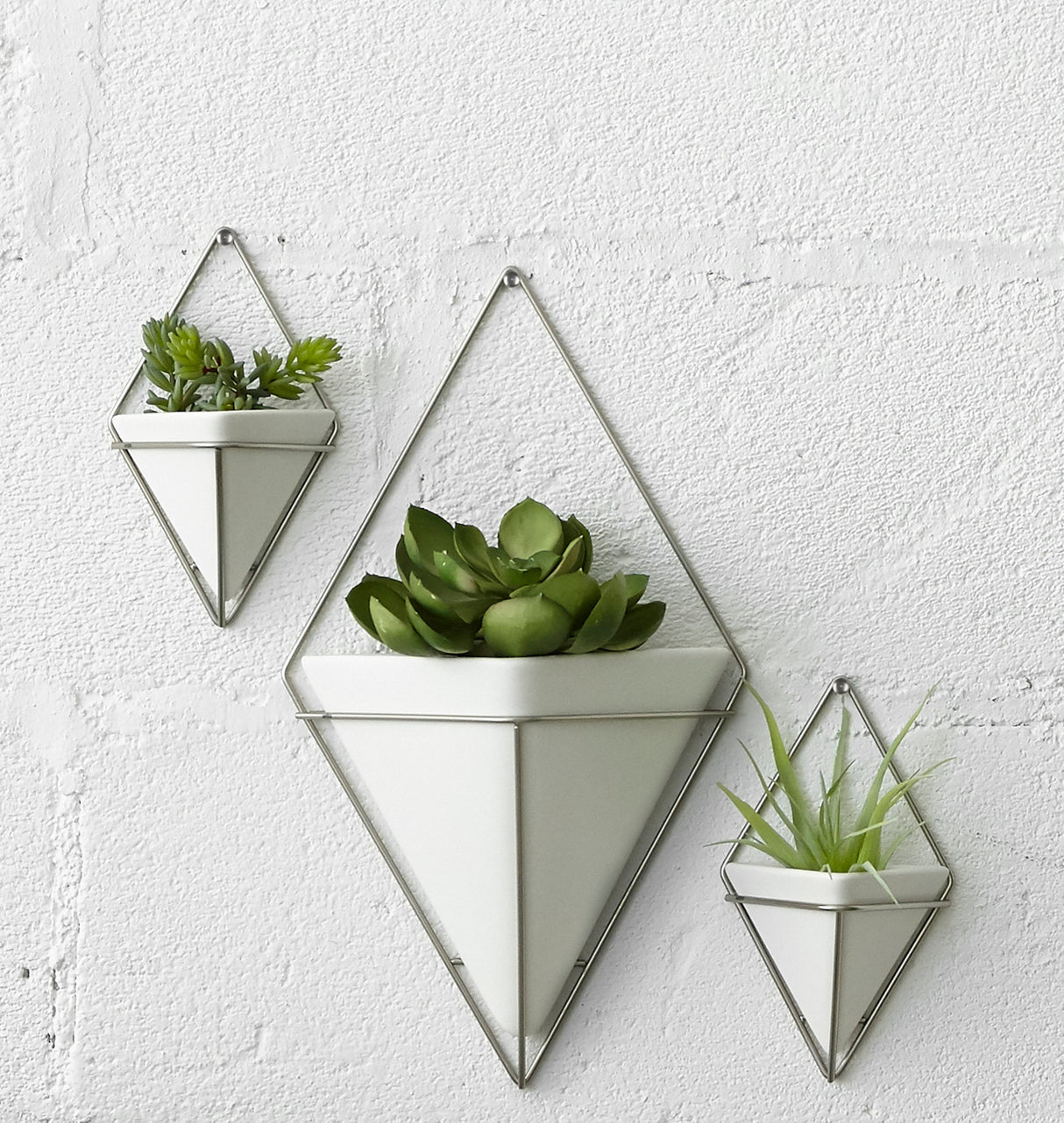 Wall Planters | color: White-Nickel