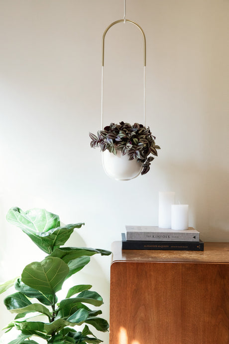 Hanging Planters | color: White | Hover