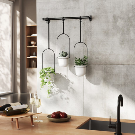 Hanging Planters | color: White-Black | Hover