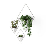 Wall Planters | color: White-Nickel