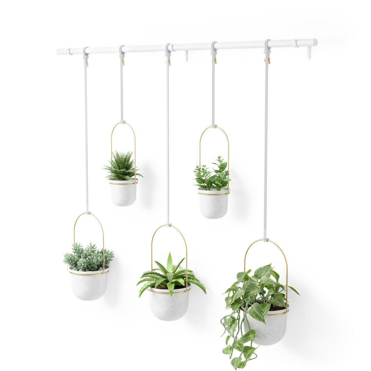 Hanging Planters | color: White-Brass