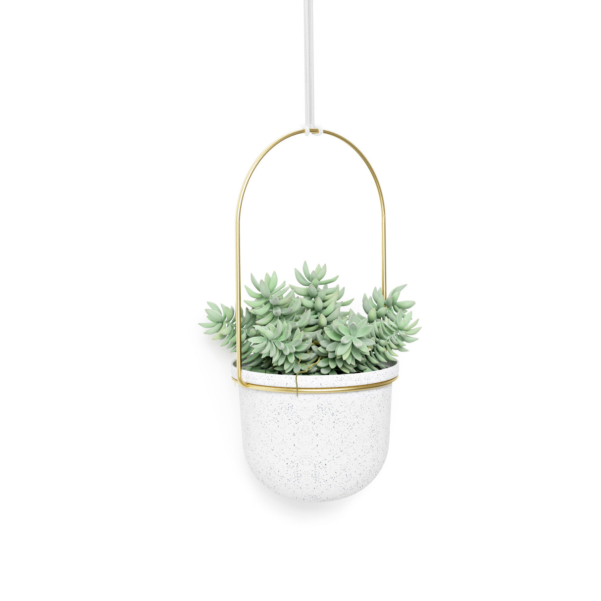 Hanging Planters | color: White-Brass