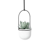 Hanging Planters | color: White-Black