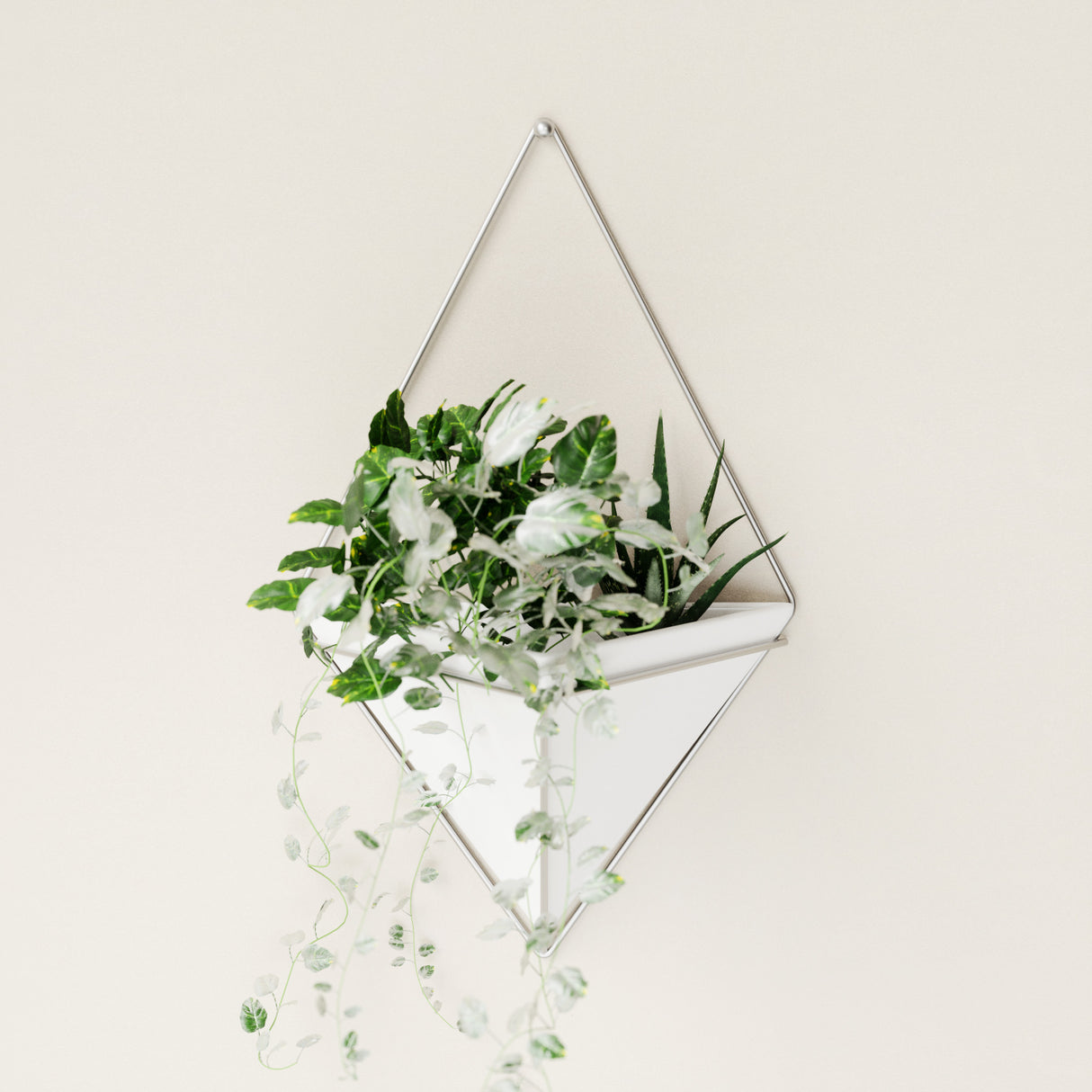 Wall Planters | color: White-Nickel