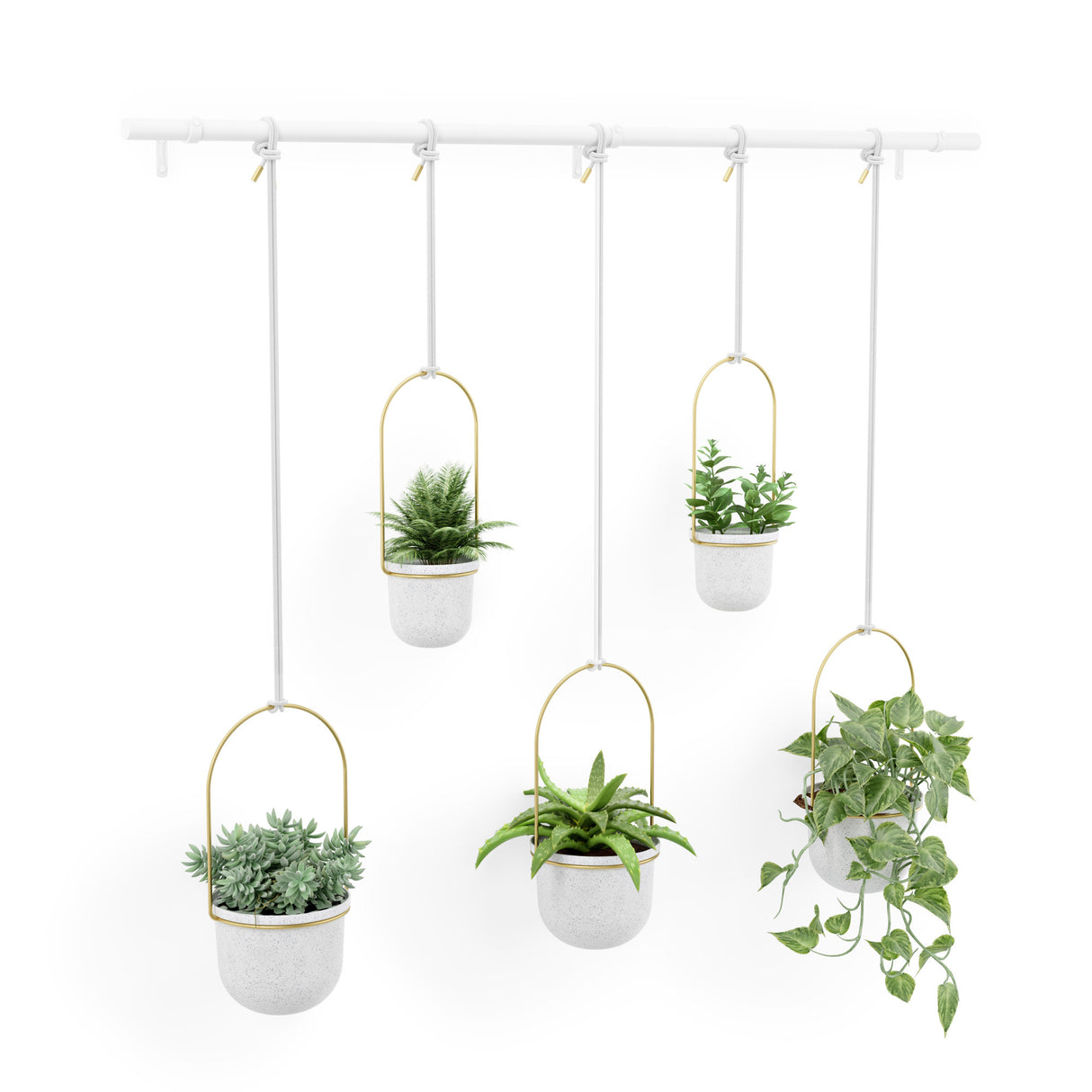 Hanging Planters | color: White-Brass