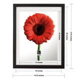 Wall Frames | color: Black | size: 13x16" (33x40 cm)